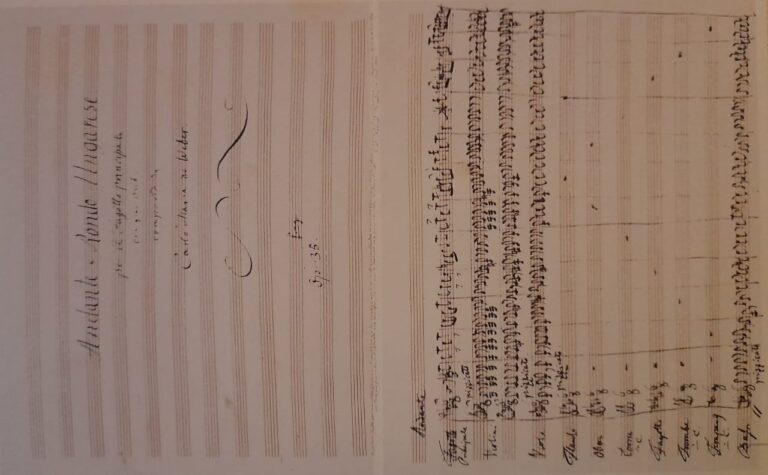 Lee más sobre el artículo Concierto para Fagotk. 191