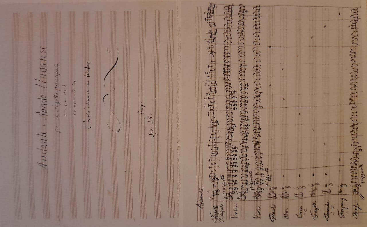 Lee más sobre el artículo Concierto para Fagotk. 191