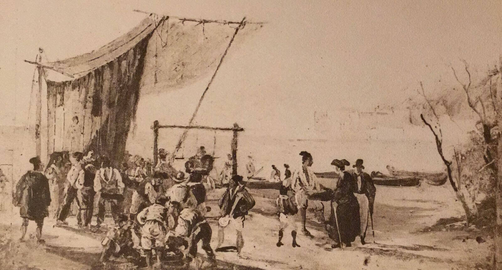 Lee más sobre el artículo «La Mandolina», un instrumento popular