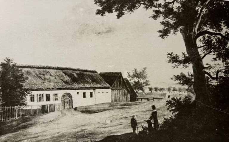 Lee más sobre el artículo Haydn y la Música para Órgano