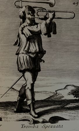 Lee más sobre el artículo La Trompeta