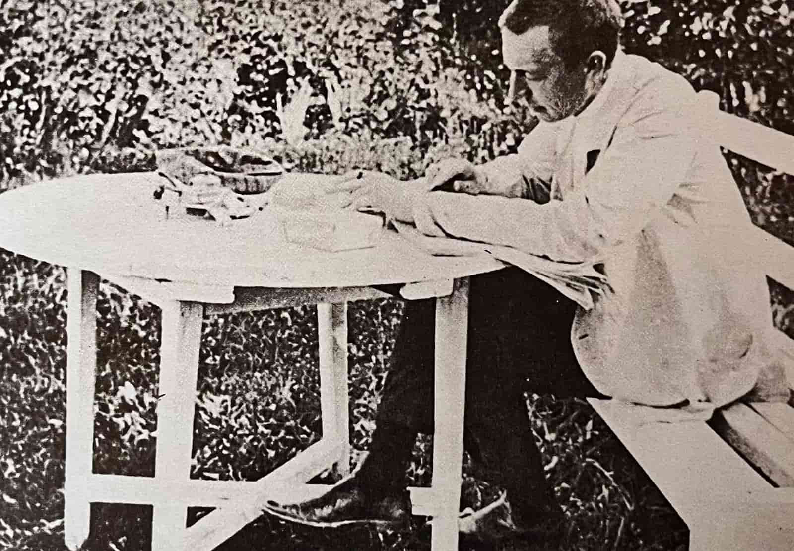 Lee más sobre el artículo Una variada fortuna, 2da parte