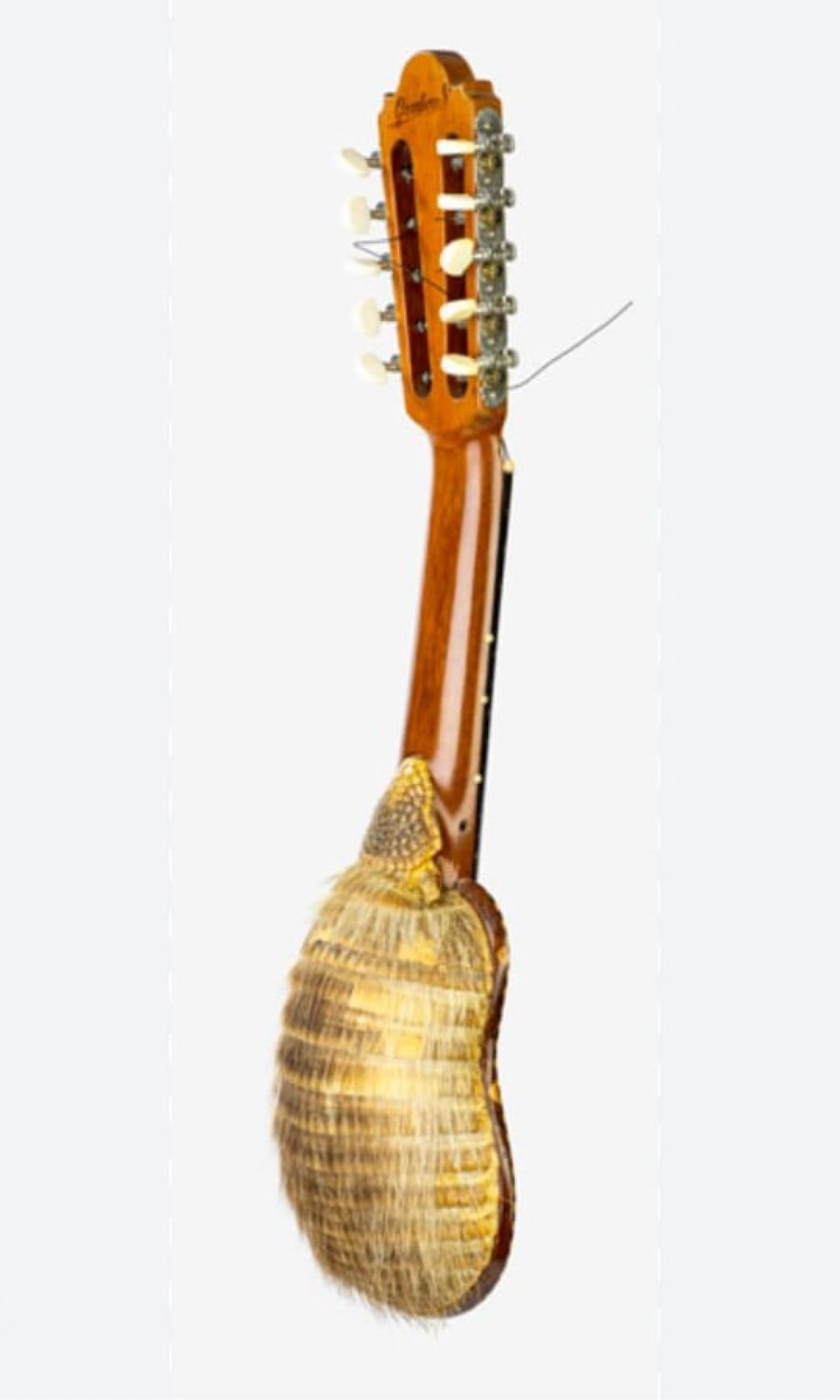 Lee más sobre el artículo Instrumentos Folklóricos y Transculturales- 5ta Parte